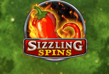 Sizzling Spins game thumbnail