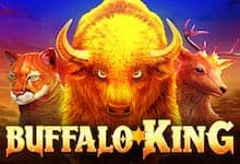 Buffalo King game thumbnail