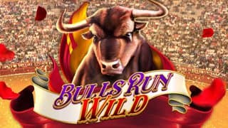 Bulls Run Wild game thumbnail