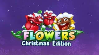 Flowers Christmas Edition game thumbnail