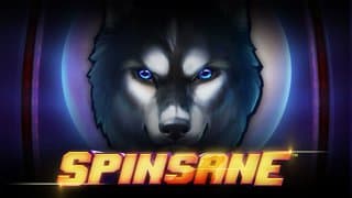 Spinsane game thumbnail