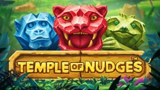 Temple of Nudges game thumbnail