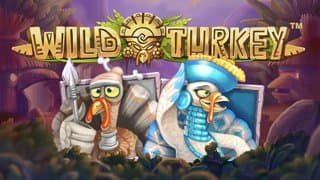 Wild Turkey game thumbnail